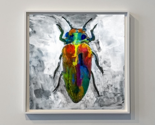 contemporary artwork depicting a bug by gregory beylerian
